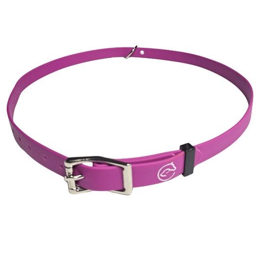 Lilac horse identification collar belt