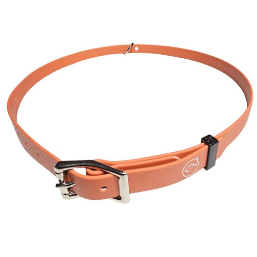 Horse id collar in saddle tan