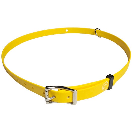 horse id collar 25mm