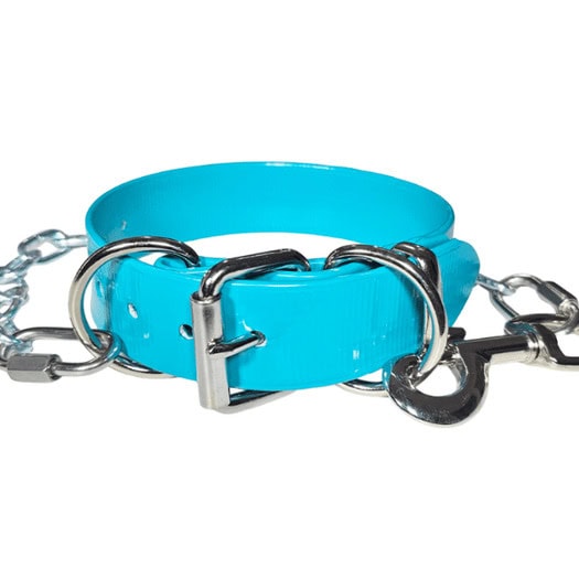 Blue working dog collar with chain tie out for durability and control.