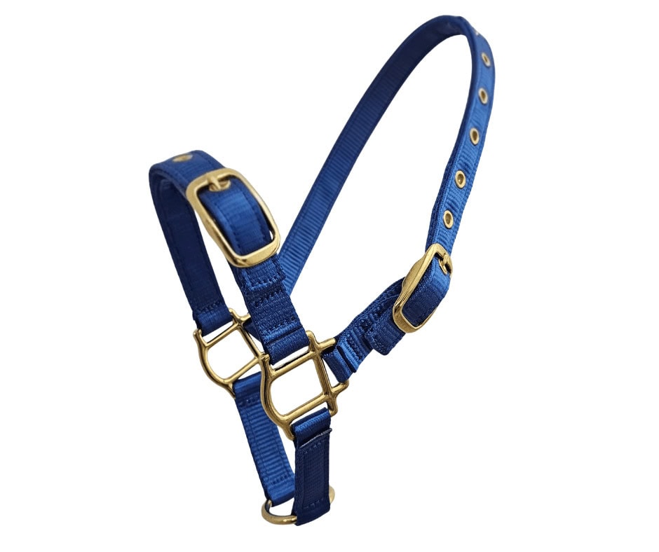 sheep halter brass