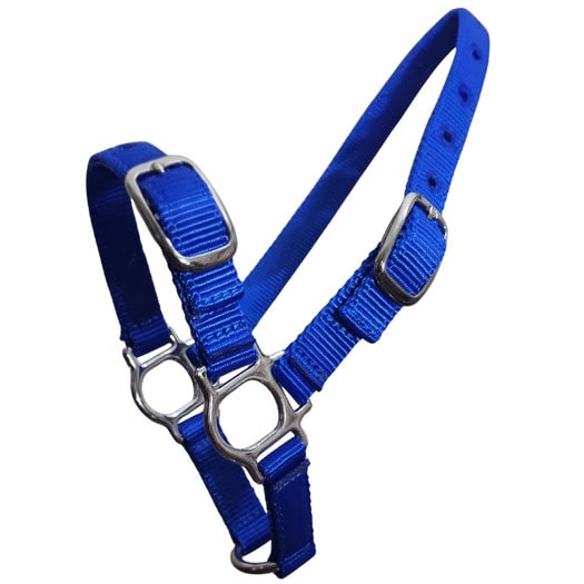 Sheep halter in blue webbing