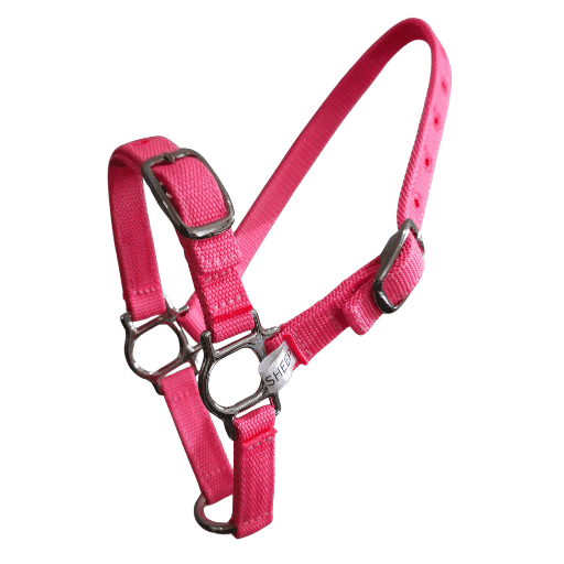 Sheep halter pink webbing adjustable