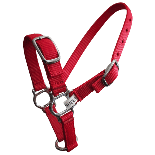 Sheep halter adjustable red