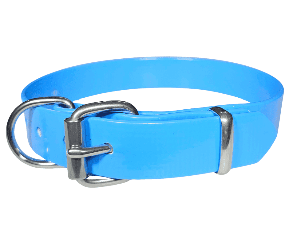 25mm PVC Working Dog Collar stainless steel