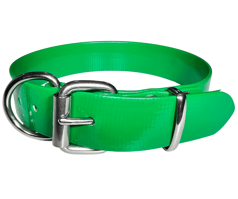 Green PVC working dog collar with metal buckle and D-ring.