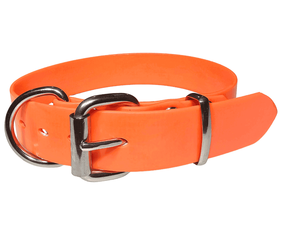 Working Dog Collar 32mm PVC Stainless Steel