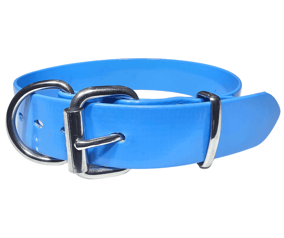 32mm PVC Working Dog Collar Stainless Steel
