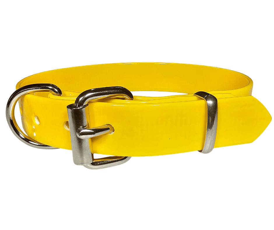 25mm PVC Working Dog Collar