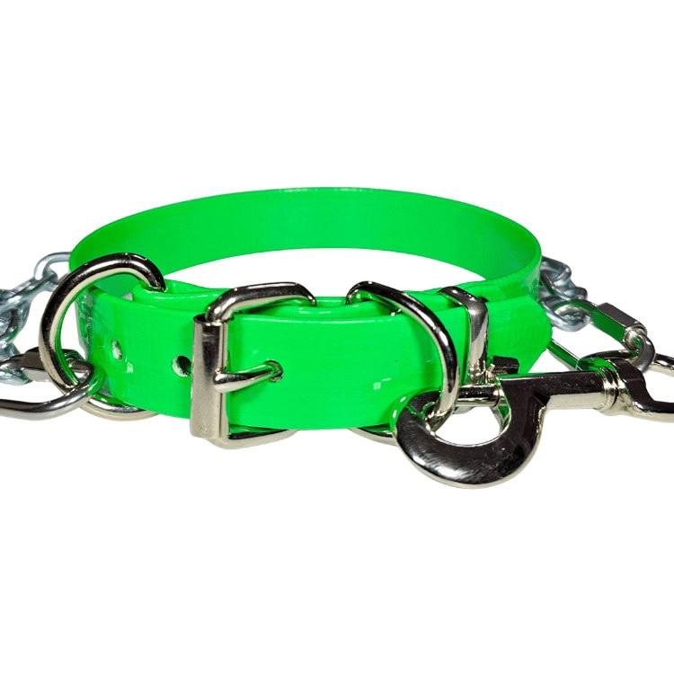 Bright green working dog collar with metal chain and buckle for tie out.
