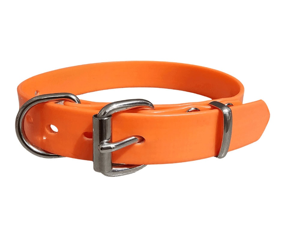 working dog collar pvc stainless steel 25mm orange