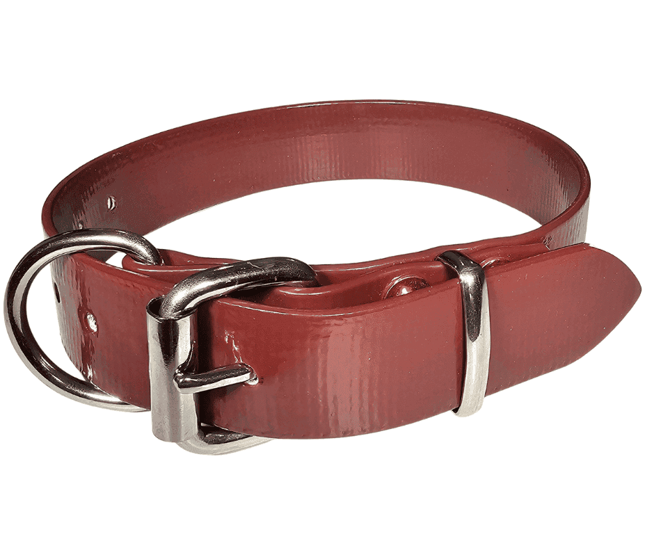 Red working dog collar with stainless steel buckle and copper rivets.