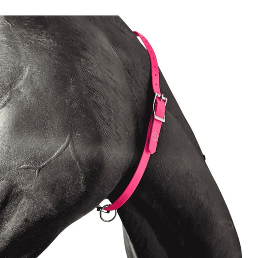 Horse id collar in pink on horse