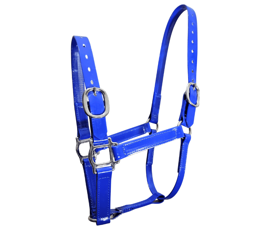 Blue PVC horse Halter 25mm