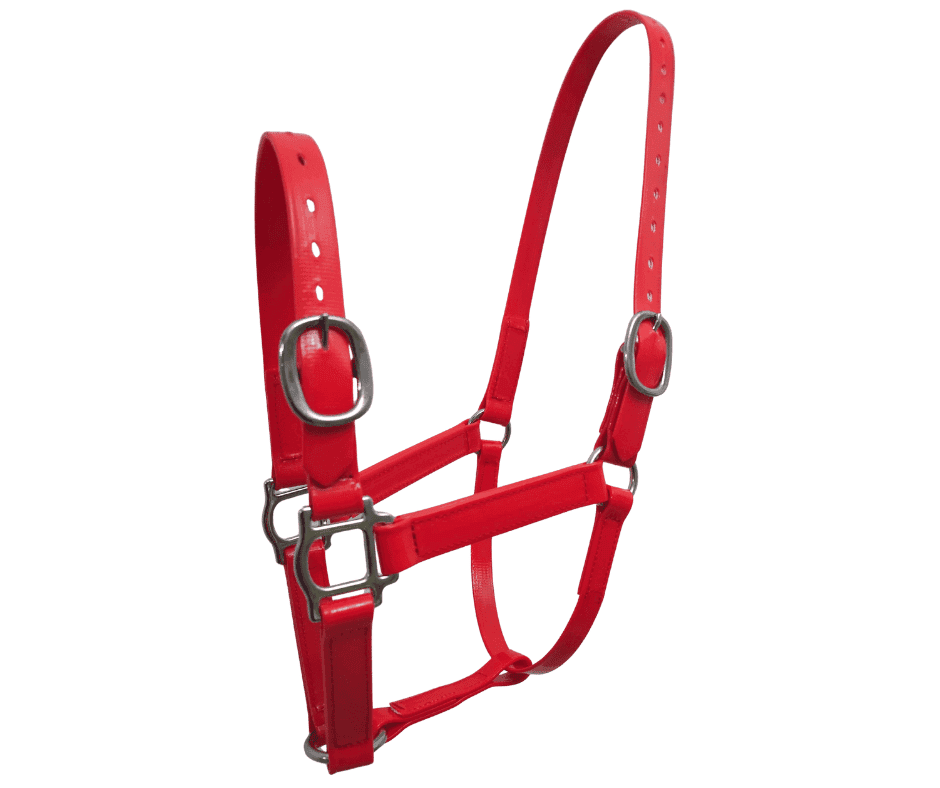 PVC Horse Halter 25mm