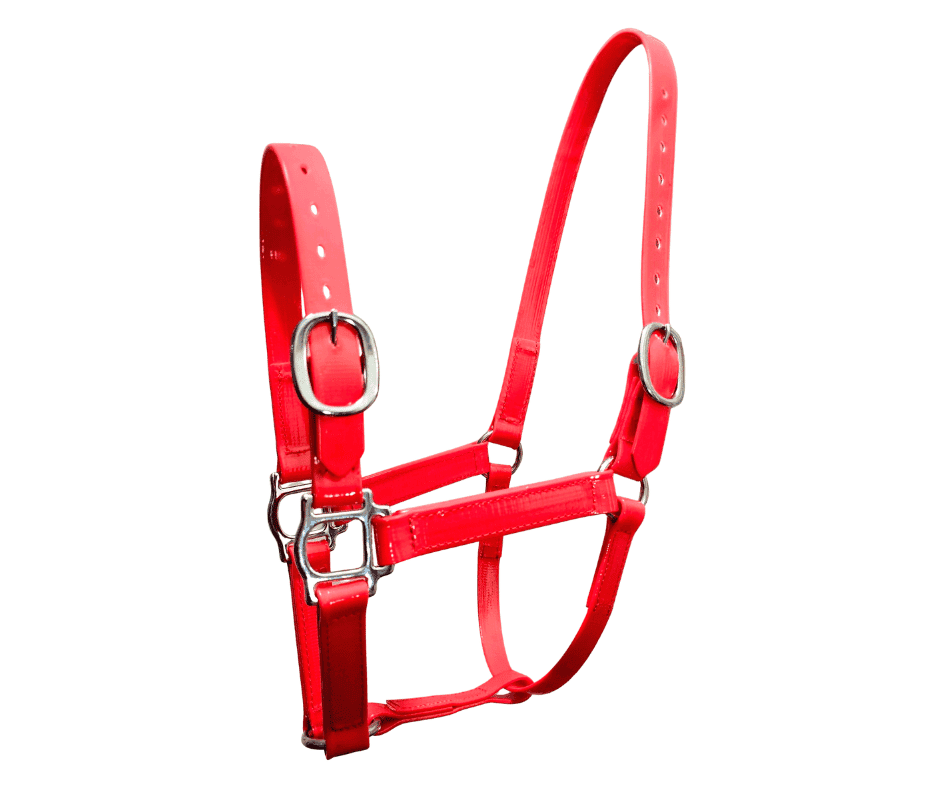 PVC 25mm Horse Halter