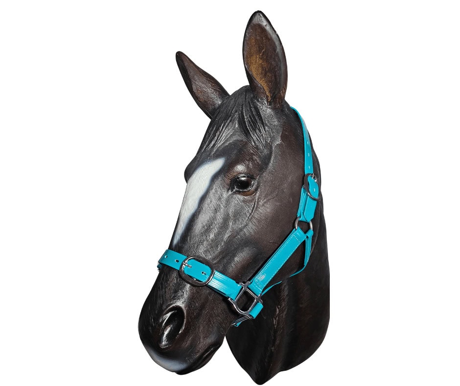 horse halter pvc 25mm teal