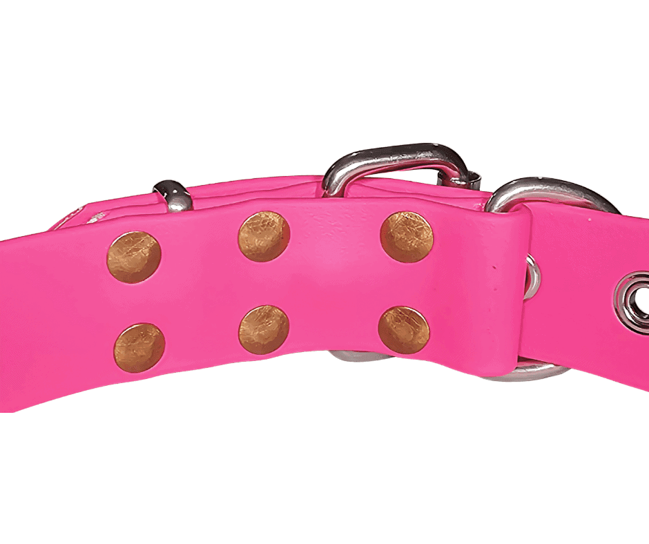 Dog Collar Heavy Duty Biothane