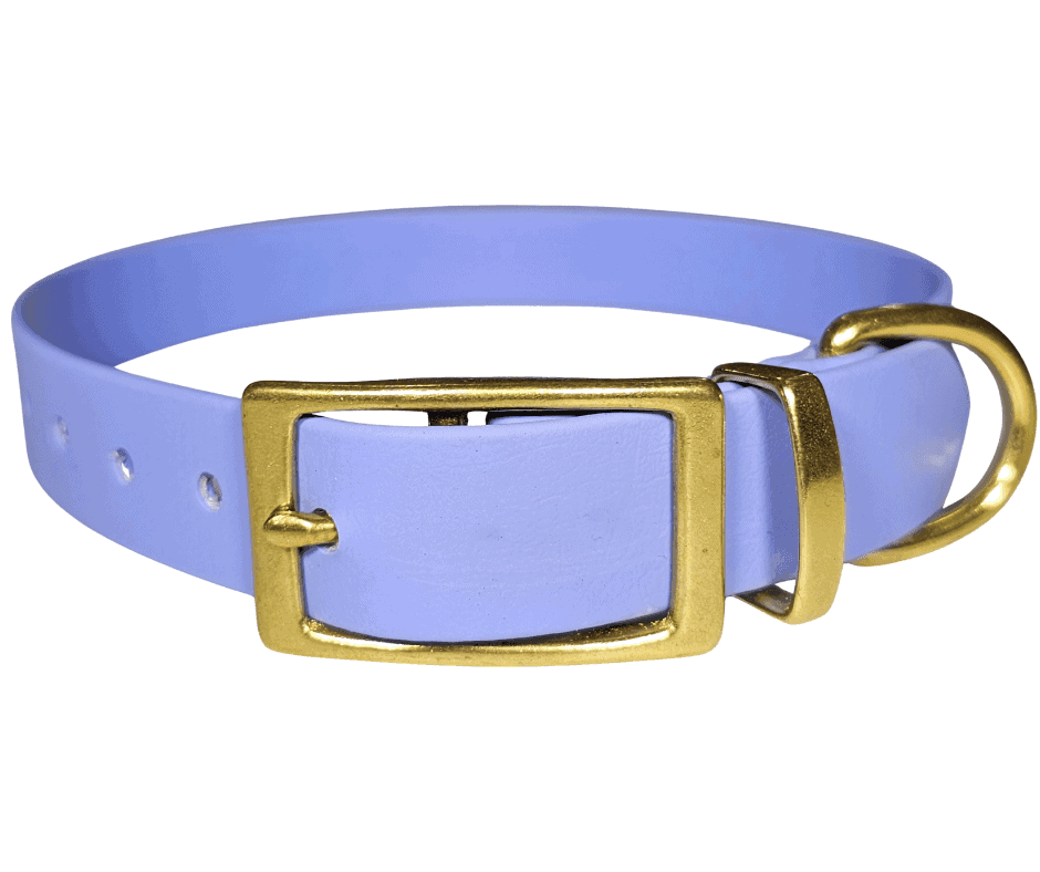 Biothane Dog Collar.