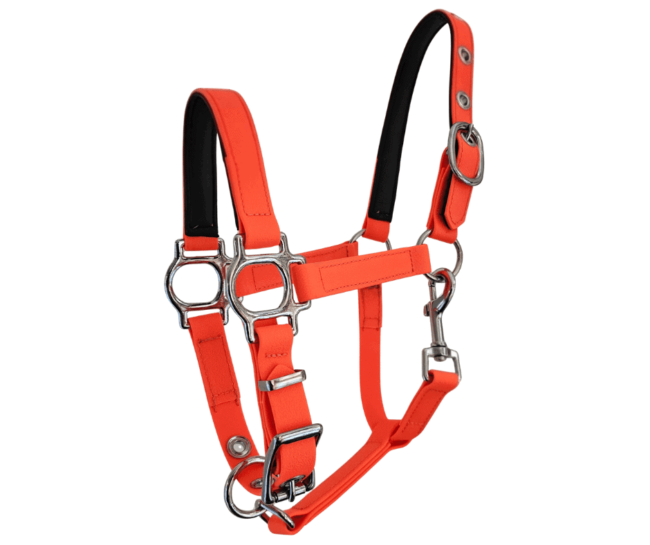 Miniature Horse Halter PVC TPU Quick Release Neon Orange