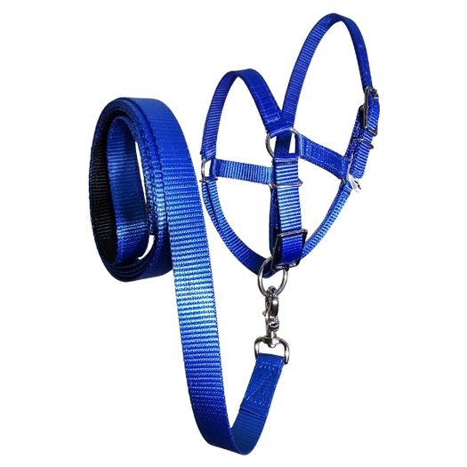 Alpaca halter lead ultimate combo in blue
