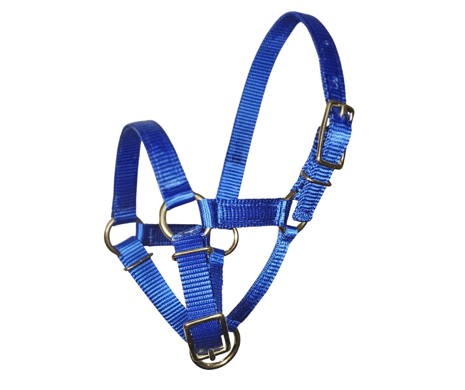 ALPACA halter ultimate brass