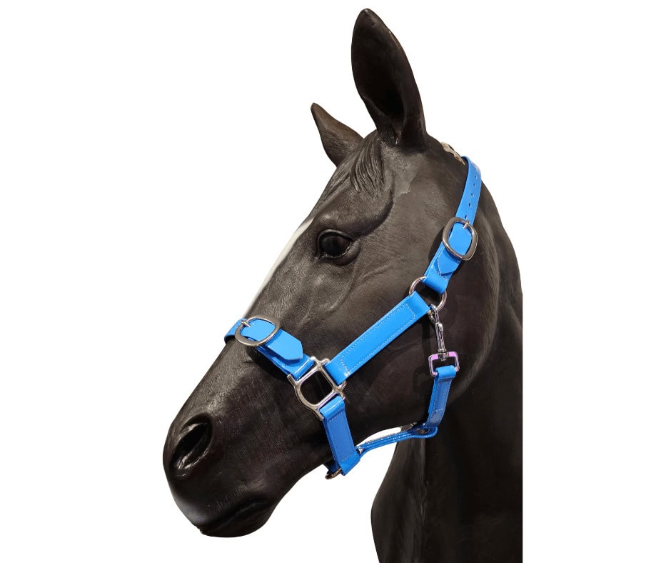 horse halter quick release pvc light blue
