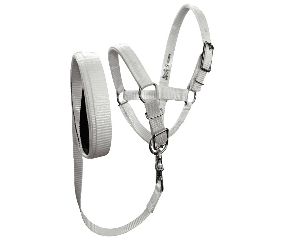 alpaca halter ultimate combo white