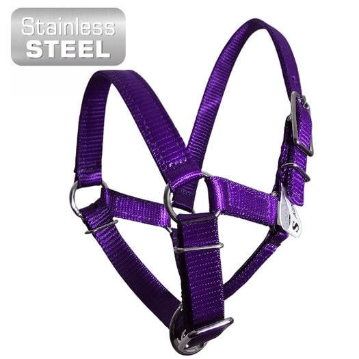 Alpaca Halter ultimate stainless steel