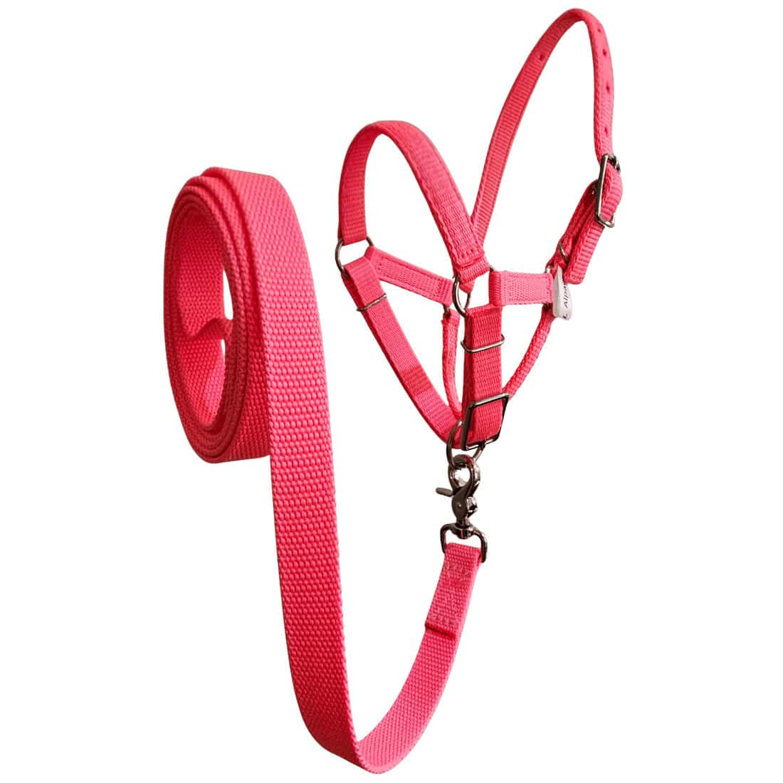 Alpaca halters adjustable and lead set in pink