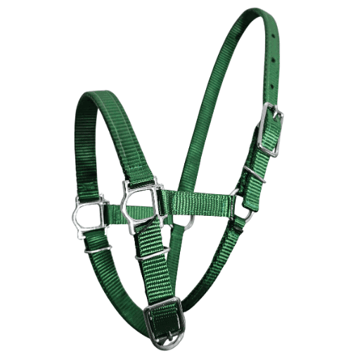 alpaca halter Australian made in green