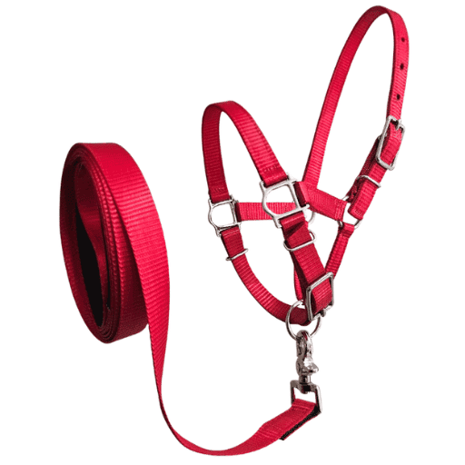 alpaca halter combo Australian made in red