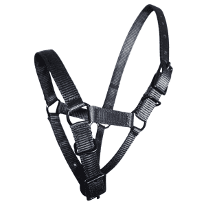 alpaca halter ultimate blck buckles in black