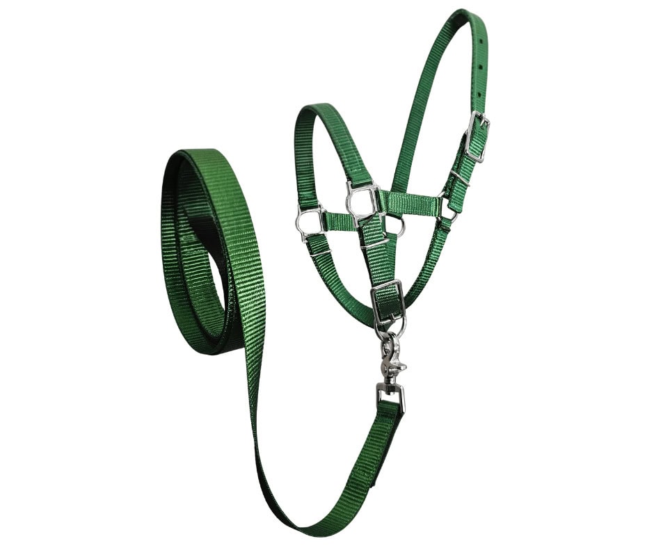 alpaca halter combo australian made green