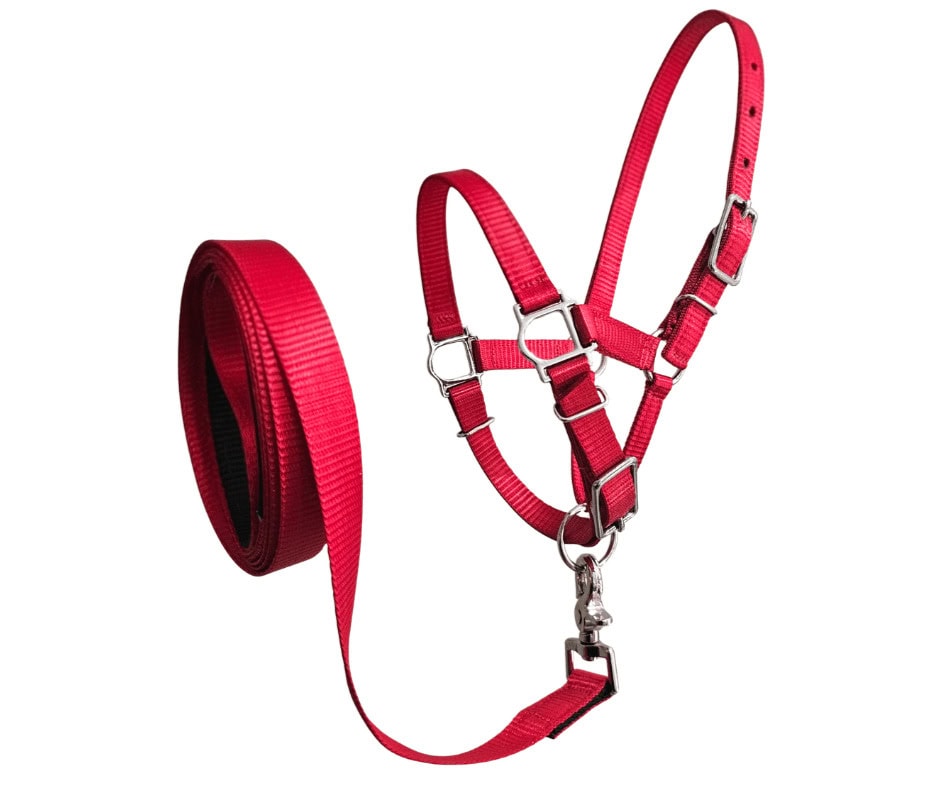 alpaca halter combo australian made red