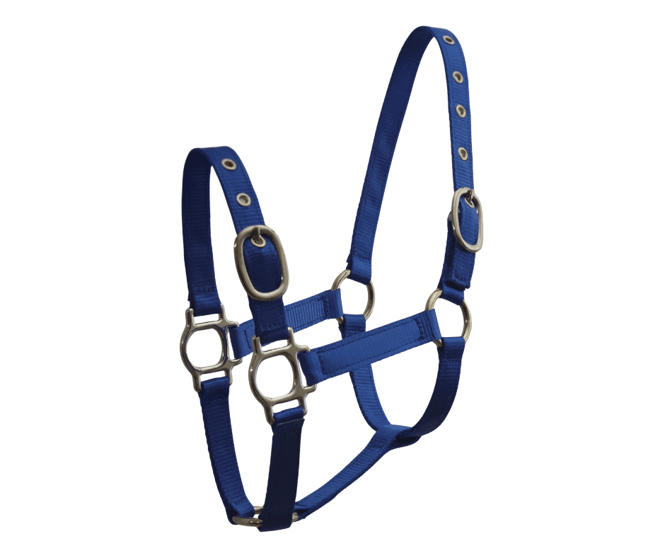 mini horse halter blue