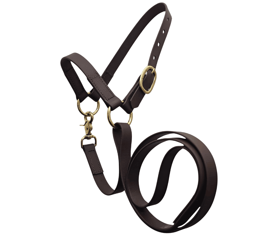 sheep halters brown - brass