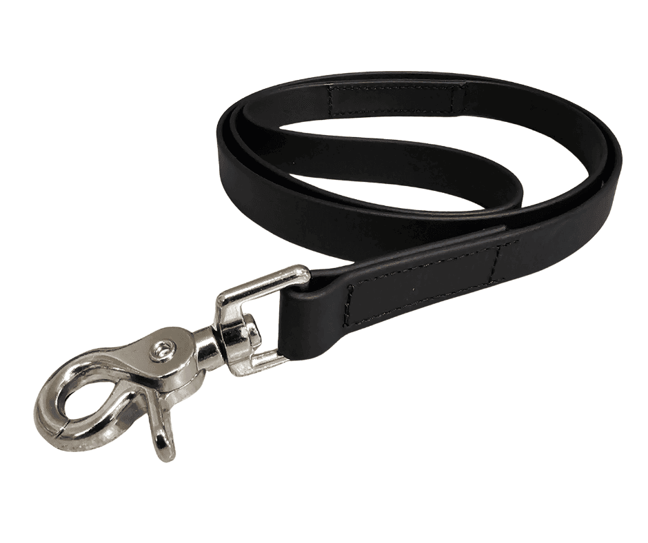 show sheep lead black