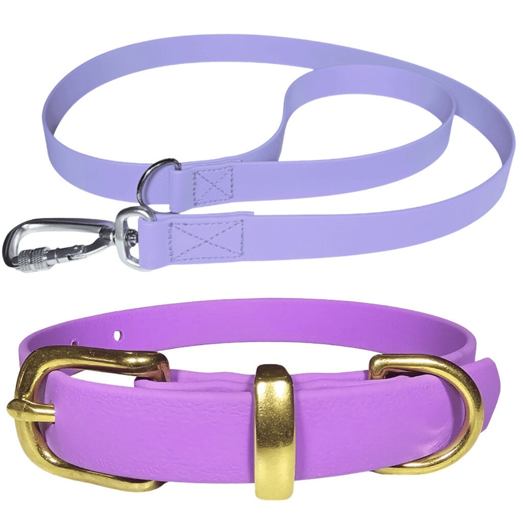 Purple dog collar and leash set with gold hardware for pets.