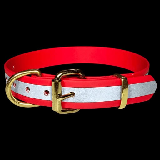 Red biothane dog collar with gold hardware and reflective strip.