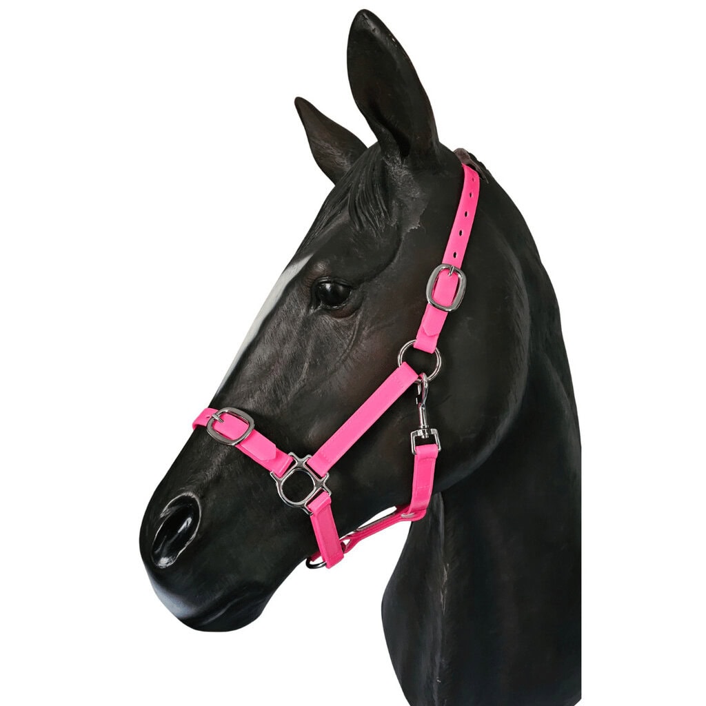 Black horse with pink halter for ultimate comfort and style.