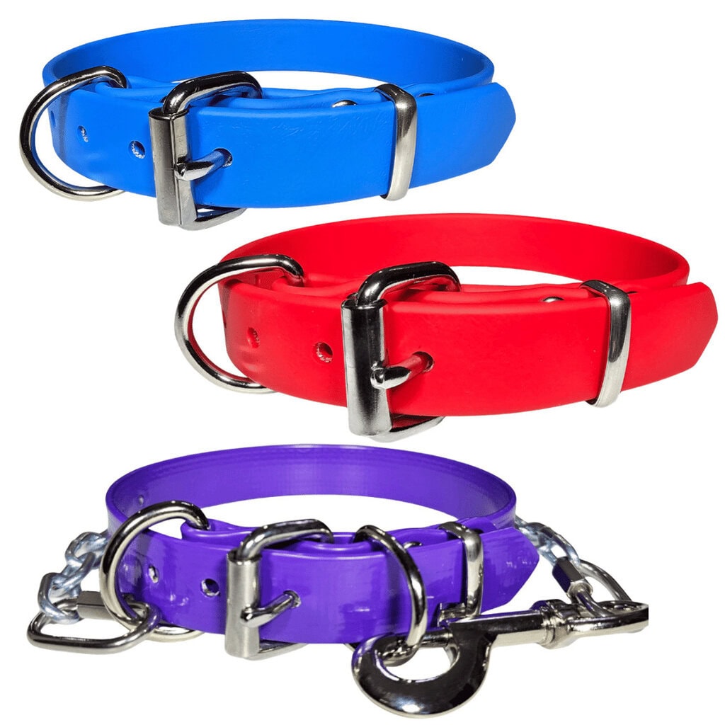 Colorful dog collars in blue, red, and purple with metal buckles and rings.