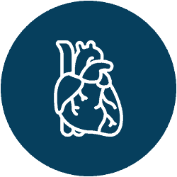 Heart health consultation at Deepak Heart Institute, expert cardiac care services.