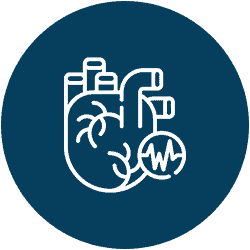Advanced heart health screening at Deepak Heart Institute for optimal cardiovascular wellness.