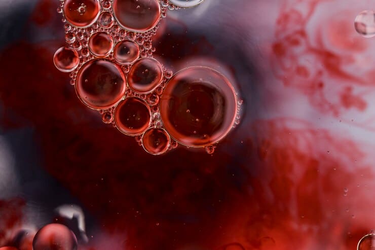 Red blood cells floating in plasma, symbolizing cardiovascular health and heart wellness.