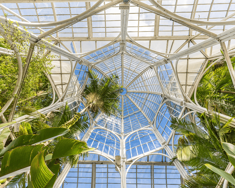 Nature Escapes: Unwinding At The Windy City's Lush Botanical Gardens ...