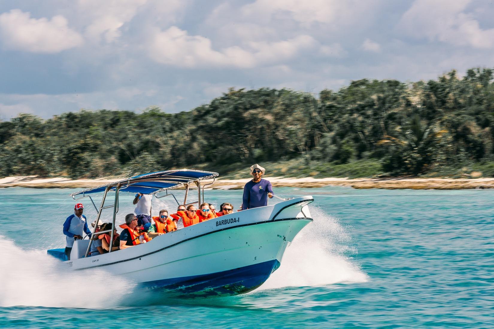Dolphin Spotting in Goa