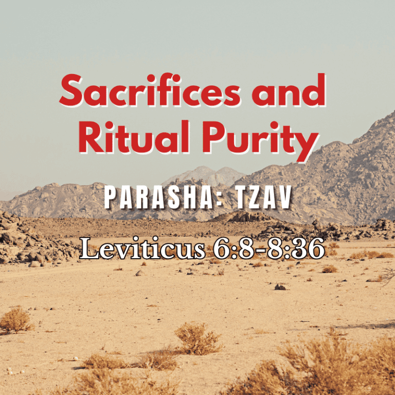 Parashah Tzav