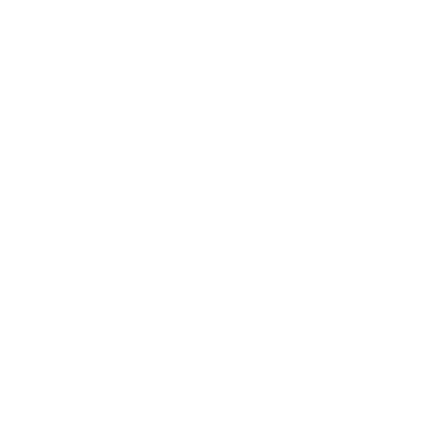 Devansh Steels logo representing quality steel products in India.