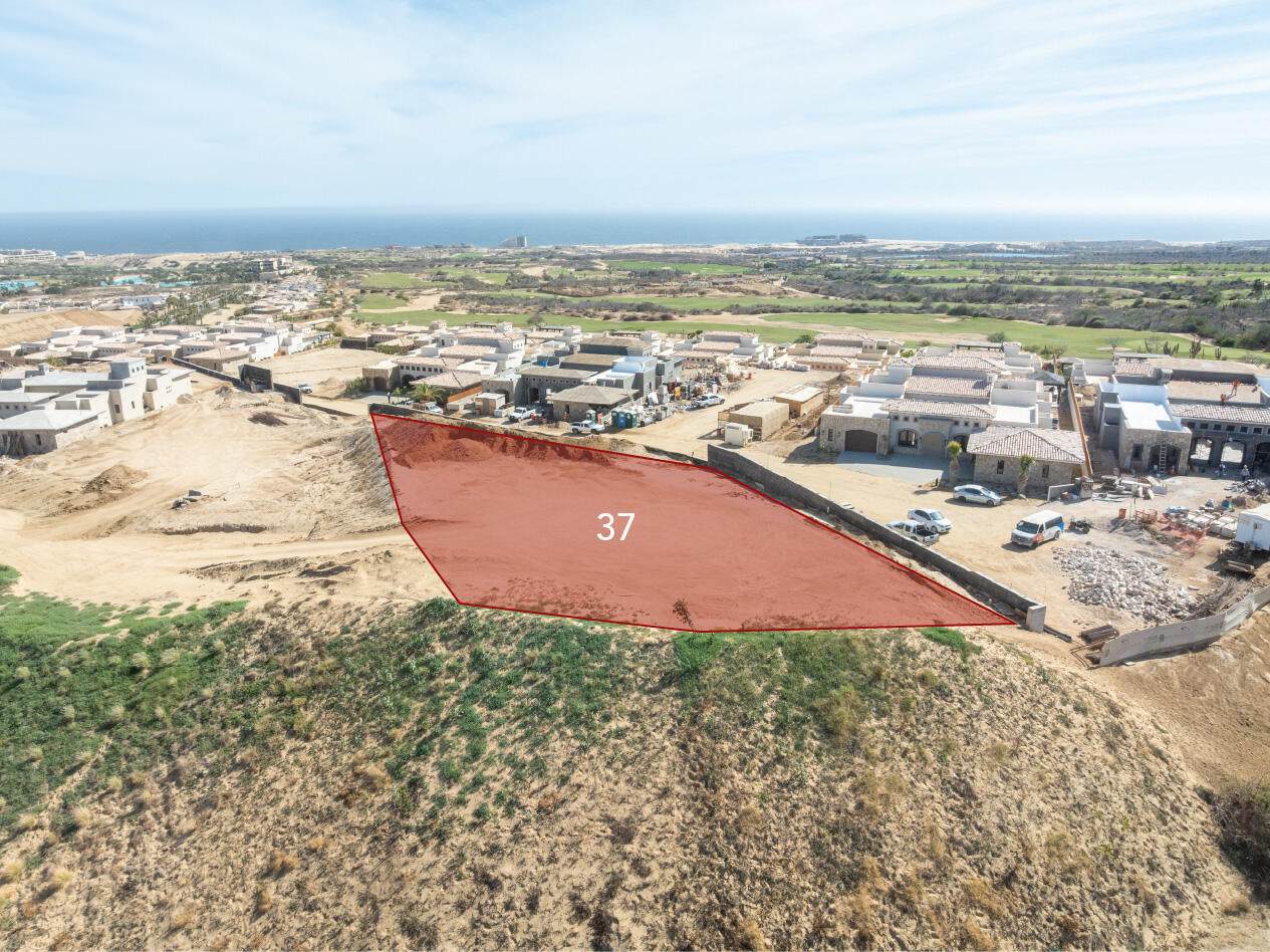 Orig Boomver 1 25 3203 1 – Diamante Real Estate